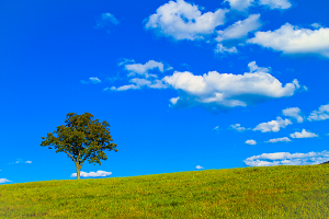 科学分野のイラスト